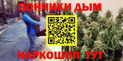 молекула духа Гагарин