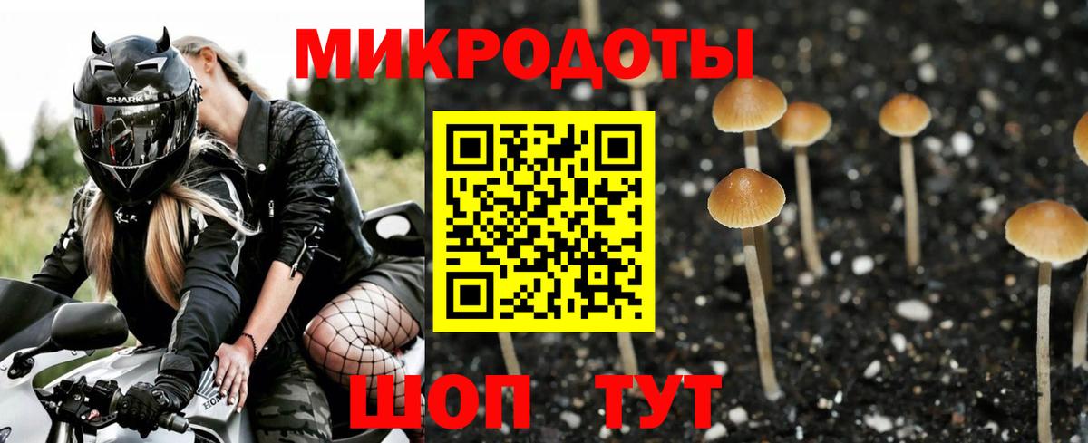 Всеволожск  Псилоцибиновые грибы Magic Shrooms  Вход с VPN 