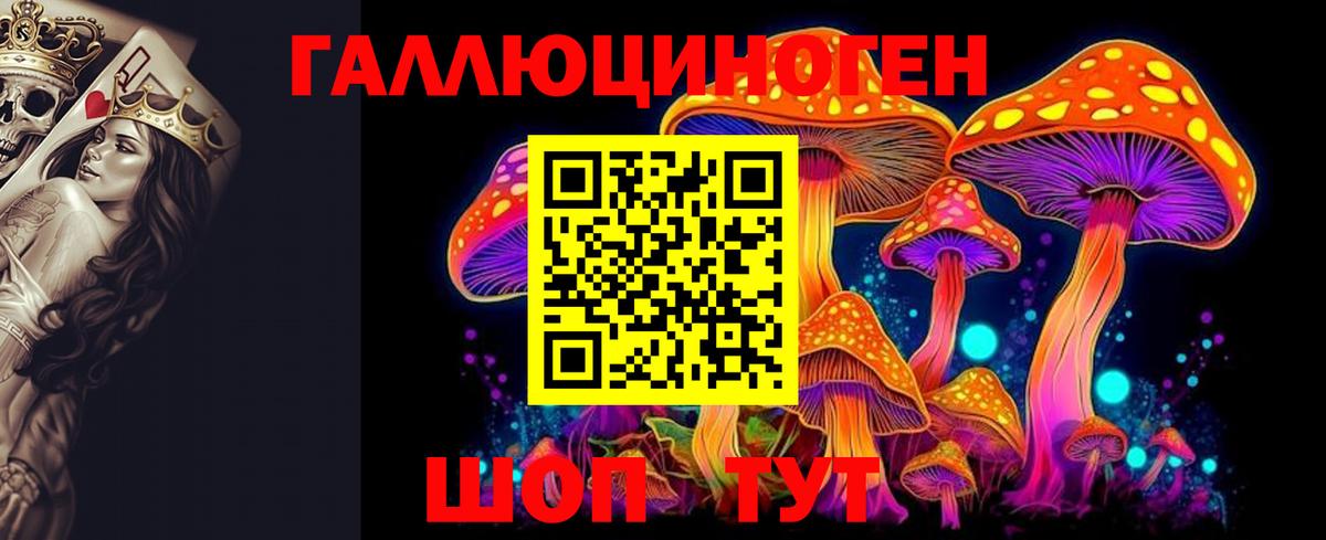 Псилоцибиновые грибы мицелий Всеволожск